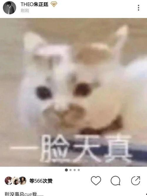 女朋友发吃瓜怎么回复,甜蜜回应女友的趣味互动